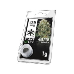 JELLY AU CBD 18%  GELATO 1g