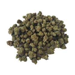 SMALL BUD Fleur de CBD