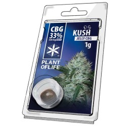 JELLY AU CBG 33% O.G Kush 1g