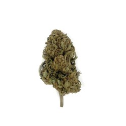 Fleur de CBD Orange Bud...