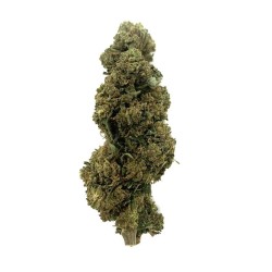 Fleur de CBD Amnesia NAZA 3gr