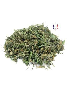 Hight biomasse de chanvre 1kg