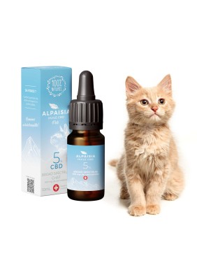 Huile de CBD Pets 5%...