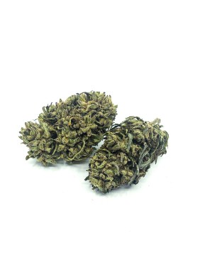 LEMON Fleur de CBD BIO de...