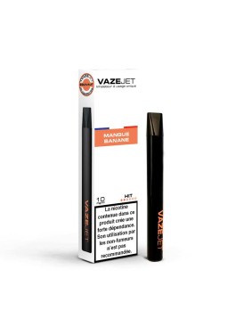 E-cigarette jetable VAZEJET...