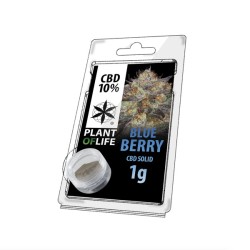 CBD SOLIDE 10% BLUEBERRY 1g