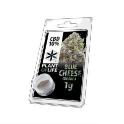 CBD SOLIDE 10% BLUE CHEESE 1g