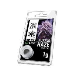 JELLY AU CBD 22% PURPLE...