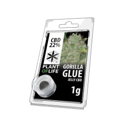 JELLY AU CBD 22% GORILLA...