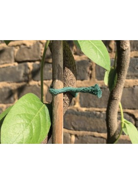 Lien torsadé jute vert 5m