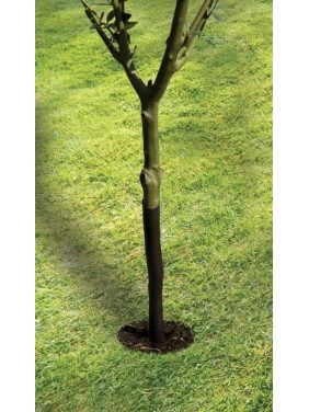 Protège-arbre en spirale 61cm