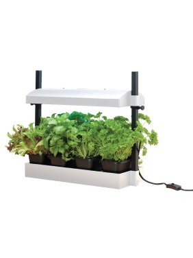 Lampe de culture Micro Grow...