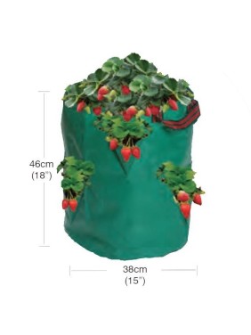 Sac de fraises/herbes