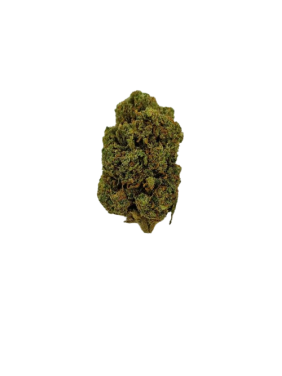 Fleur de CBD - ORANGE BUD