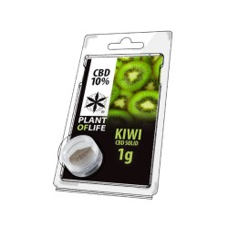 CBD SOLIDE FRUIT 10% Kiwi 1g