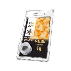 JELLY CBD FRUIT 22% Melon 1g